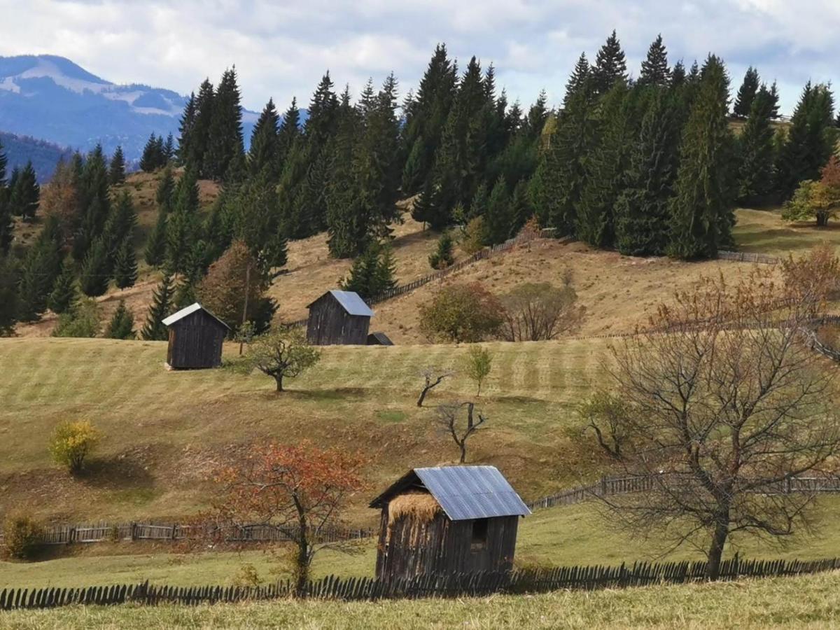 Pensiunea Agroturistica Casa Colinita วาตรา โมลโดวิเซ ภายนอก รูปภาพ