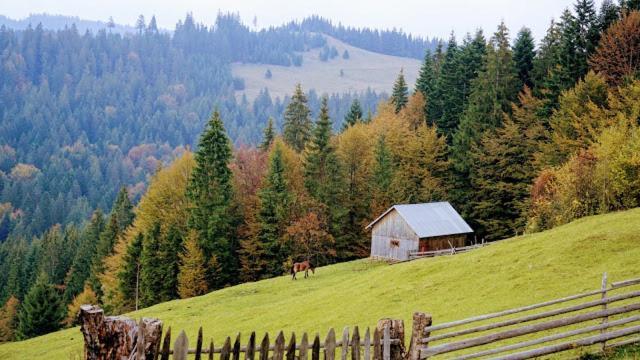 Pensiunea Agroturistica Casa Colinita วาตรา โมลโดวิเซ ภายนอก รูปภาพ