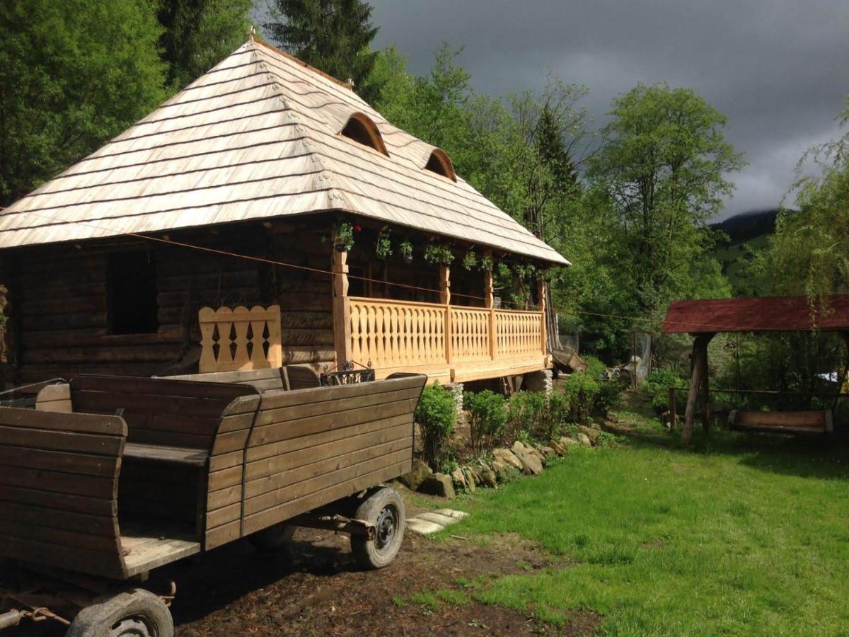 Pensiunea Agroturistica Casa Colinita วาตรา โมลโดวิเซ ภายนอก รูปภาพ