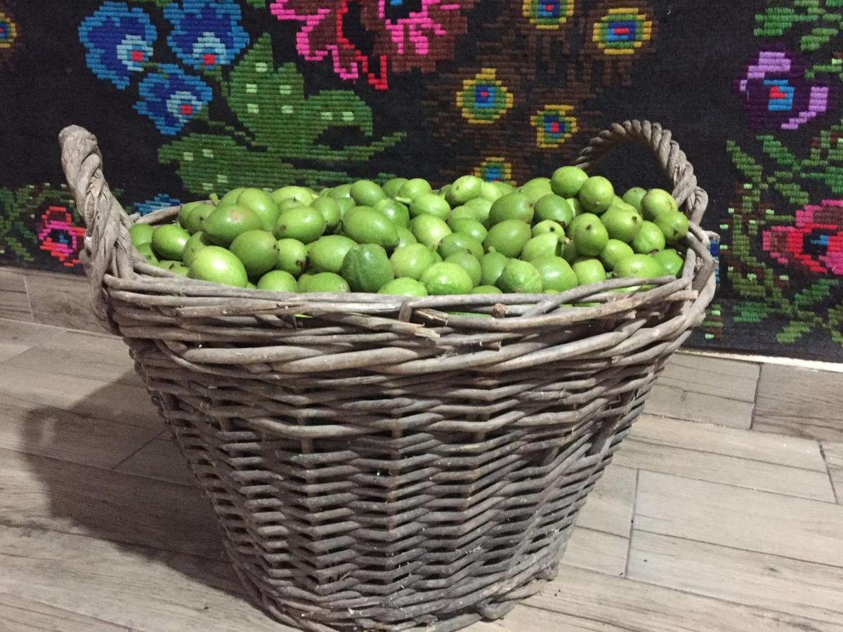 Pensiunea Agroturistica Casa Colinita วาตรา โมลโดวิเซ ภายนอก รูปภาพ