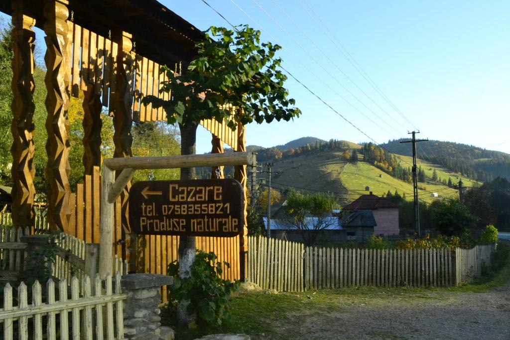 Pensiunea Agroturistica Casa Colinita วาตรา โมลโดวิเซ ภายนอก รูปภาพ