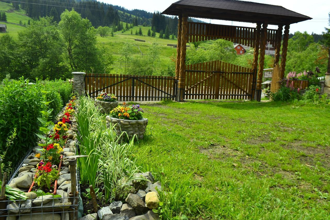 Pensiunea Agroturistica Casa Colinita วาตรา โมลโดวิเซ ภายนอก รูปภาพ